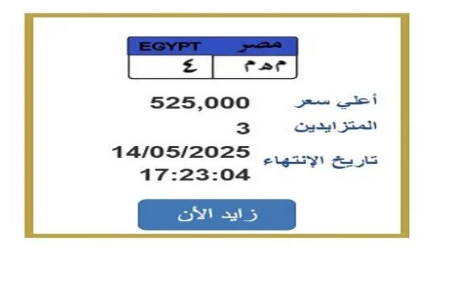سعرها بلغ 525 ألف جنيه.. معركة حامية على لوحة سيارة فريدة سعرها بلغ 525 ألف جنيه.. معركة حامية على لوحة سيارة فريدة