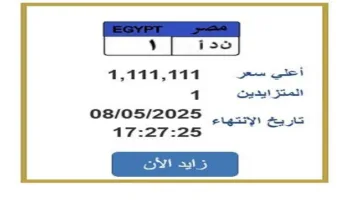 سعرها تخطى مليون جنيه.. خطوات التزايد على لوحة سيارة مميزة