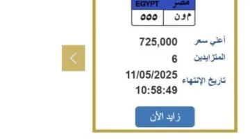 سعرها وصل 725 ألف جنيه.. مزايدة نارية على لوحة سيارة مميزة