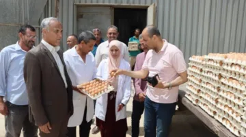 سكرتير عام مساعد بني سويف يقوم بجولة على مزارع الدواجن المركزية: تعزيز الأمن الغذائي وتقليل الضغوطات