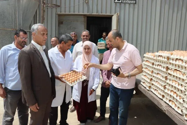 سكرتير عام مساعد بني سويف يقوم بجولة على مزارع الدواجن المركزية: تعزيز الأمن الغذائي وتقليل الضغوطات سكرتير عام مساعد بني سويف يقوم بجولة على مزارع الدواجن المركزية: تعزيز الأمن الغذائي وتقليل الضغوطات