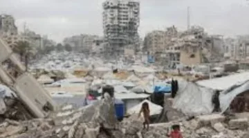 سياسيون: مصر قامت بدور تاريخي في التوصل إلى «وقف إطلاق النار» في غزة.. ورؤيتها هي الطريق الوحيد لتحقيق استقرار المنطقة.