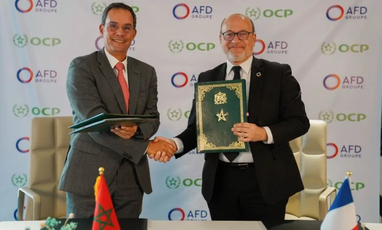شراكة بين OCP وAFD لتعزيز الاستثمارات المستدامة وضمان الأمن الغذائي في إفريقيا شراكة بين OCP وAFD لتعزيز الاستثمارات المستدامة وضمان الأمن الغذائي في إفريقيا