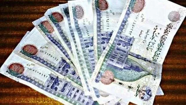 شروط ومعلومات حول الحسابات الجارية للشركات بالعملات المحلية من البنك الزراعي المصري شروط ومعلومات حول الحسابات الجارية للشركات بالعملات المحلية من البنك الزراعي المصري