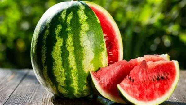 شعبة الخضر والفاكهة تكشف سبب وصول سعر البطيخة إلى 250 جنيهًا شعبة الخضر والفاكهة تكشف سبب وصول سعر البطيخة إلى 250 جنيهًا