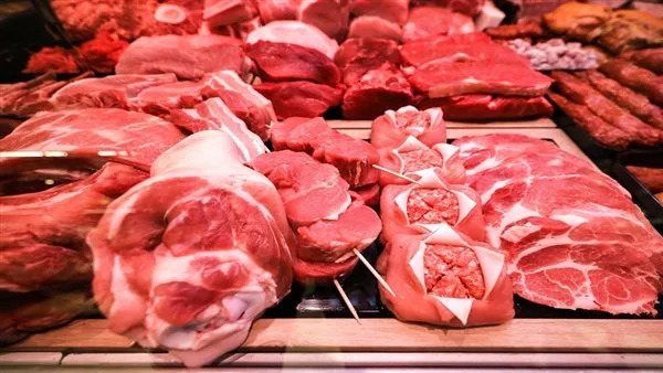 شعبة القصابين: سعر كيلو الأضاحي يبدأ من 180 جنيها.. والعجول تصل لـ 300 ألف جنيه شعبة القصابين: سعر كيلو الأضاحي يبدأ من 180 جنيها.. والعجول تصل لـ 300 ألف جنيه
