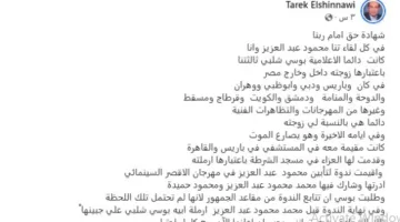 شهادة الناقد طارق الشناوي في انفصال محمود عبد العزيز قبل وفاته