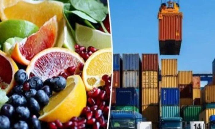 صادرات مصر تتجاوز 4.4 مليار دولار مع ارتفاعها في فبراير 2025