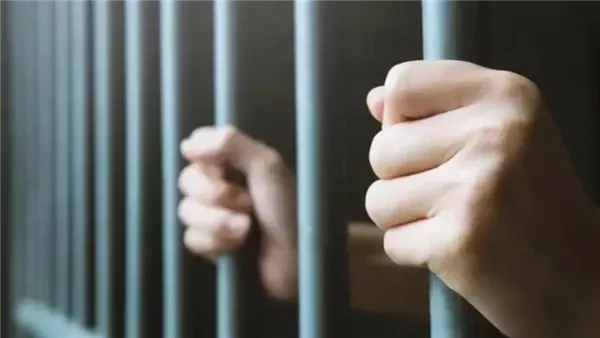 صدور حكم بالسجن 6 سنوات على سائق وبائع فواكه بتهمة الاتجار في المخدرات في القليوبية صدور حكم بالسجن 6 سنوات على سائق وبائع فواكه بتهمة الاتجار في المخدرات في القليوبية