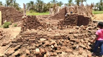 صور: استمرار إجراءات إزالة التعديات على الأراضي الزراعية في الأقصر