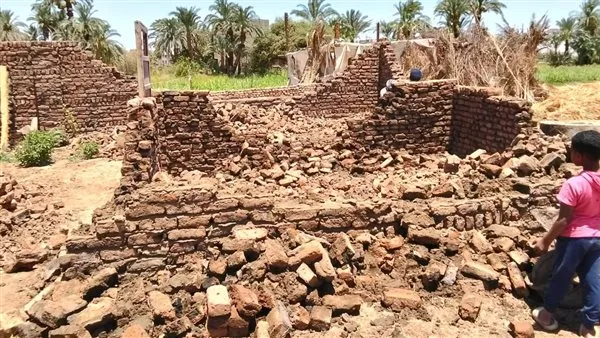 صور: استمرار إجراءات إزالة التعديات على الأراضي الزراعية في الأقصر صور: استمرار إجراءات إزالة التعديات على الأراضي الزراعية في الأقصر