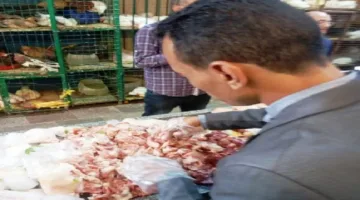 ضبط 200 كجم لحوم فاسدة في أسوان