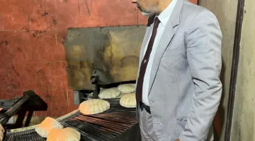ضبط 4 طن لحوم مجمدة وأغذية متنوعة بالدقهلية