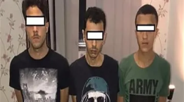 ضبط 4 عناصر إجرامية بحوزتهم مخدرات بـ5 ملايين جنيه بالإسكندرية