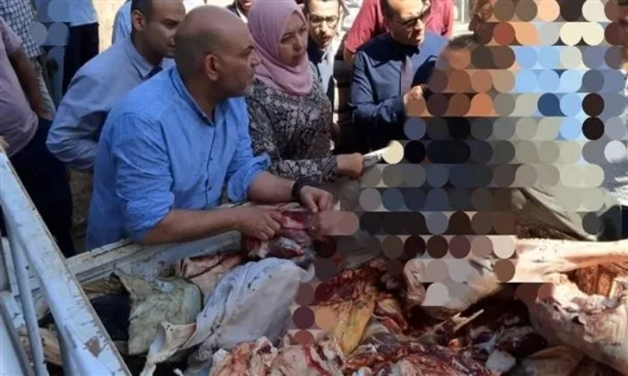 ضبط 500 كيلوغرام من اللحوم غير الآمنة للاستهلاك في المنوفية