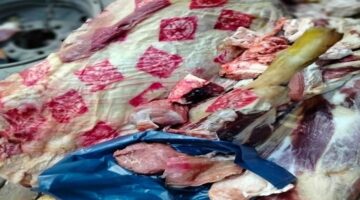 ضبط أكثر من 14 ألف كجم لحوم وأسماك غير صالحة للاستهلاك بالمنوفية