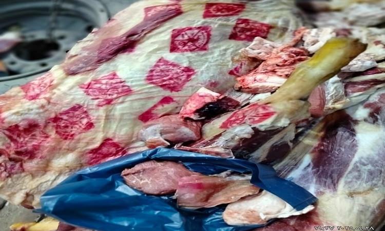 ضبط أكثر من 14 ألف كجم لحوم وأسماك غير صالحة للاستهلاك بالمنوفية ضبط أكثر من 14 ألف كجم لحوم وأسماك غير صالحة للاستهلاك بالمنوفية
