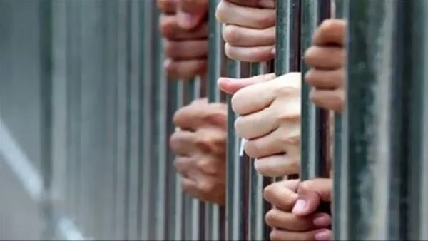 ضبط تشكيل عصابي بحوزته مواد مخدرة وأسلحة تقدر بـ12 ملايين جنيه ضبط تشكيل عصابي بحوزته مواد مخدرة وأسلحة تقدر بـ12 ملايين جنيه
