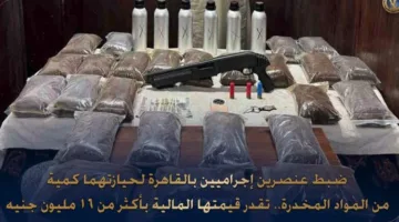 ضبط عنصرين إجراميين لحيازتهما مواد مخدرة قيمتها أكثر من 16 مليون جنيه