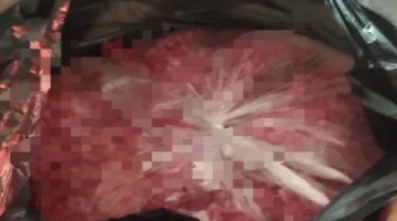 ضبط لحوم ودواجن غير صالحة للأكل خلال حملة تفتيشية شاملة في بورسعيد