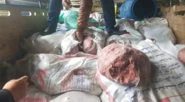 ضبط نصف طن لحوم غير صالحة للاستهلاك في حملة رقابية بطوخ