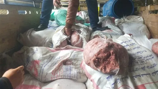 ضبط نصف طن لحوم غير صالحة للاستهلاك في حملة رقابية بطوخ ضبط نصف طن لحوم غير صالحة للاستهلاك في حملة رقابية بطوخ