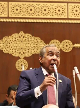 طارق رسلان: الرئيس السيسي يدعو لاستقطاب المستثمرين الدوليين ويشدد على أهمية تحفيزهم