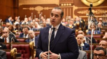 المستشار محمود فوزي: الرقابة القضائية على الانتخابات ستستمر