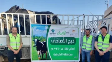 طرح صك الأضحية بالتقسيط شهريًا 500 جنيه بالشرقية(تفاصيل)