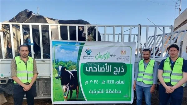 طرح صك الأضحية بالتقسيط شهريًا 500 جنيه بالشرقية(تفاصيل)