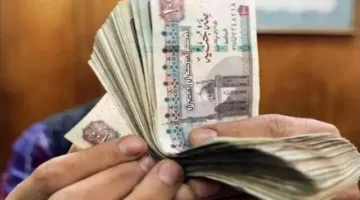 طريقة الاستفسار عن منحة العمالة غير النظامية 2025.. الرابط متاح الآن