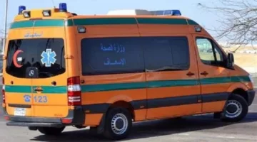 وفاة شخصين غرقًا بعد سقوطهما في بئر مياه بالشرقية