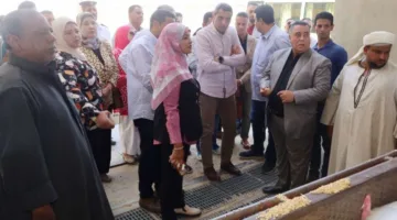 محافظ السويس يتابع استعدادات المطاحن والصوامع لموسم توريد القمح في عتاقة