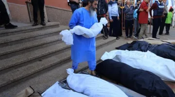 عاجل.. إعلام فلسطيني: شهداء ومصابون فى غارة إسرائيلية على منزل في بيت لاهيا