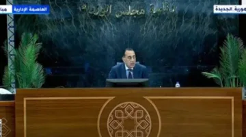 عاجل| مدبولي: إطلاق تجريبي لتأشيرة الدخول العاجلة إلكترونيًا عبر مطار القاهرة
