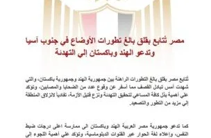 عاجل| مصر تتابع بقلق بالغ التطورات بين الهند وباكستان وتطالب بالتهدئة