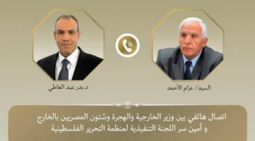 عبد العاطي يؤكد وقوف مصر إلى جانب الشعب الفلسطيني بالفترة التاريخية الحرجة