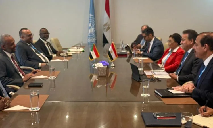 عبدالغفار يجتمع مع وزير الصحة السوداني لدراسة سبل التعاون المشترك