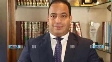 عبدالمنعم السيد: الجانب الصينى يسعى أن يحصل على مهلة لمدة 90 يوما لتأجيل فكرة الرسوم الجمركية