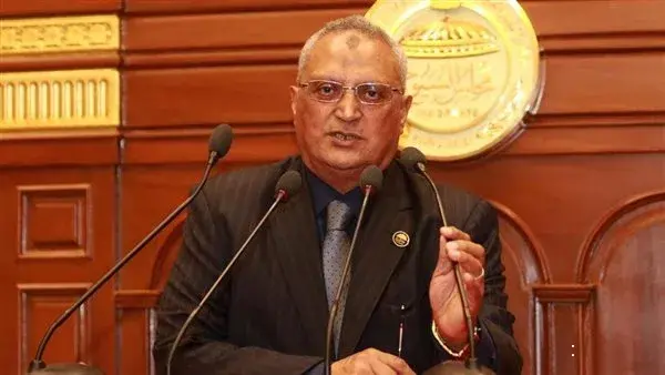 عبده أبو عايشه: مبادرات التحالف الوطني لمحو الأمية تدعم التنمية المستدامة في القرى المصرية عبده أبو عايشه: مبادرات التحالف الوطني لمحو الأمية تدعم التنمية المستدامة في القرى المصرية