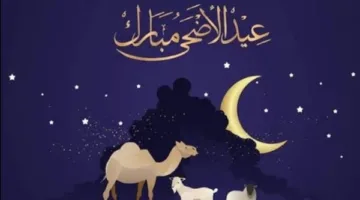 عدد أيام إجازة عيد الأضحى 2025 في مصر للقطاعين الحكومي والخاص