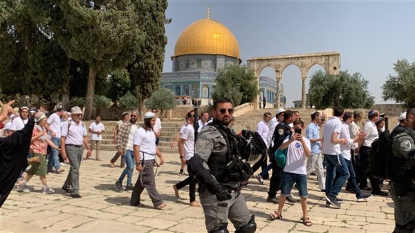 عشرات المستوطنين يقتحمون باحات “الأقصى” تحت حماية شرطة الاحتلال عشرات المستوطنين يقتحمون باحات “الأقصى” تحت حماية شرطة الاحتلال