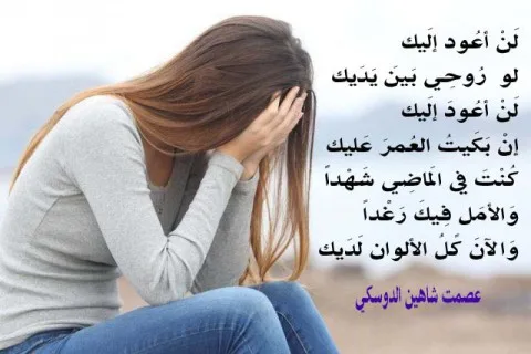 عصمت شاهين الدوسكي: لن أعود إليك مجددًا عصمت شاهين الدوسكي: لن أعود إليك مجددًا