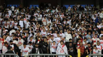 عضو اتحاد الكرة يُدافع عن بيبو بعد استبعاده من الجهاز الفني الجديد لـ الزمالك بسبب الجماهير