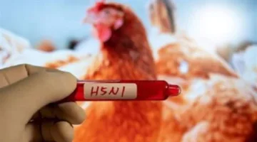 علماء يحذرون من انتشار فيروس إنفلونزا الطيور في 40 دولة