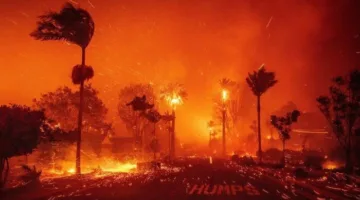 على مدار 15 عامًا.. دخان حرائق الغابات يتسبب في وفاة الآلاف بالولايات المتحدة
