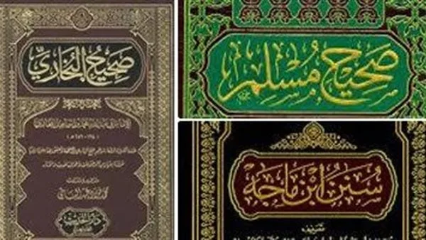 علي جمعة: من يرفضون السنة النبوية يجهلون صحيح البخاري علي جمعة: من يرفضون السنة النبوية يجهلون صحيح البخاري