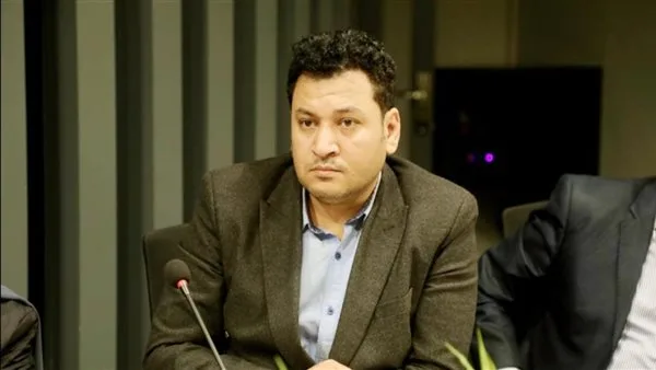 علي فايز: تصريحات الرئيس السيسي في قمة بغداد تُعتبر “تاريخية”