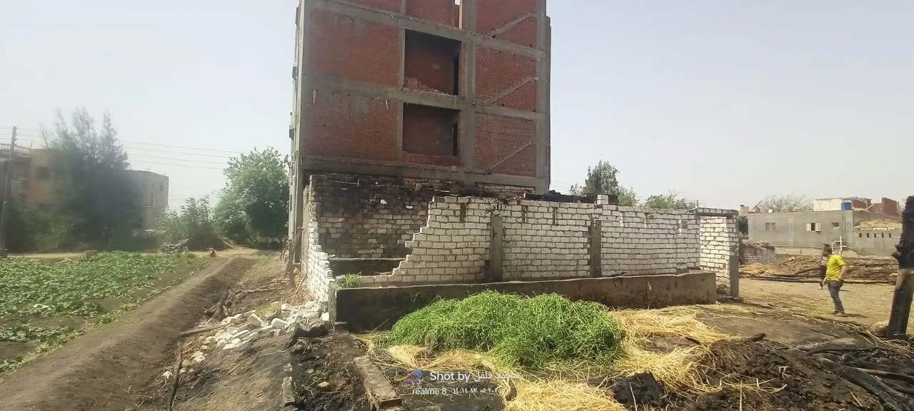 عناية الإلهية تنقذ.. احتراق 11 رأساً من الماشية في مزرعة بالبحيرة عناية الإلهية تنقذ.. احتراق 11 رأساً من الماشية في مزرعة بالبحيرة