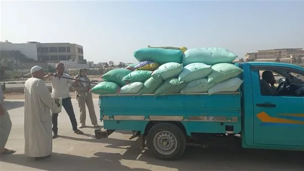 في إطار استراتيجية الدولة لضمان الأمن الغذائي.. البحيرة تزود السوق بأكثر من 261 ألف طن من القمح حتى الآن.